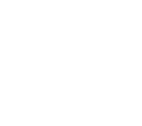 ico-2