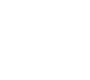 ico-2